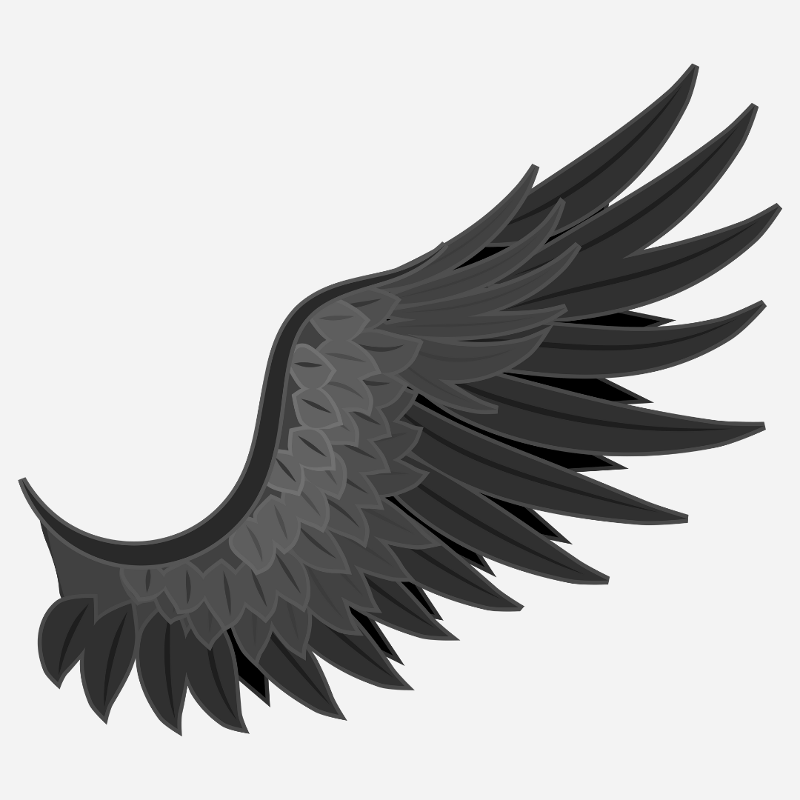 schwarzer Flügel