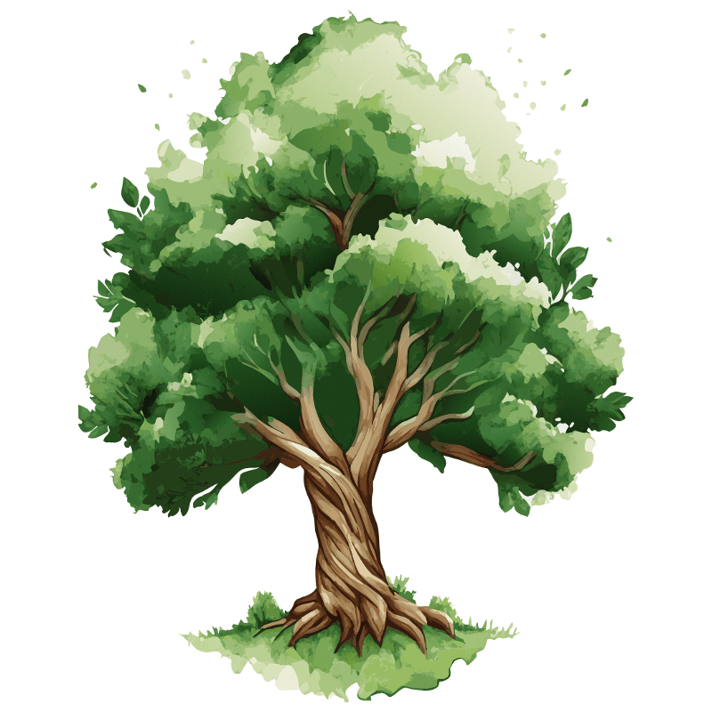 Baum