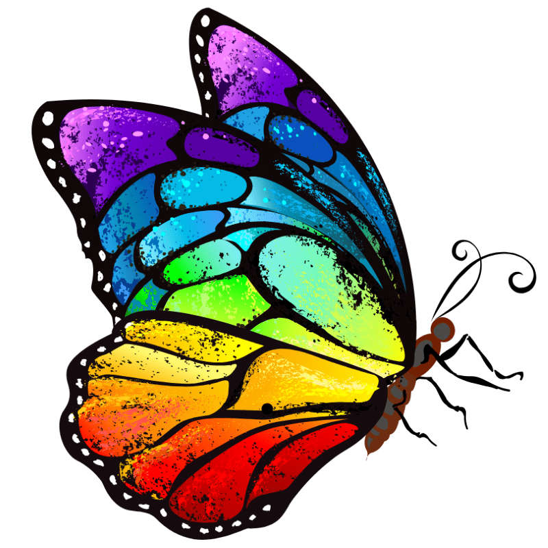 Schmetterling in Regenbogenfarben