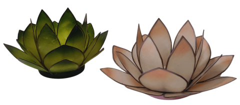 eine grüne Lotusblüte und eine rosa Lotusblüte