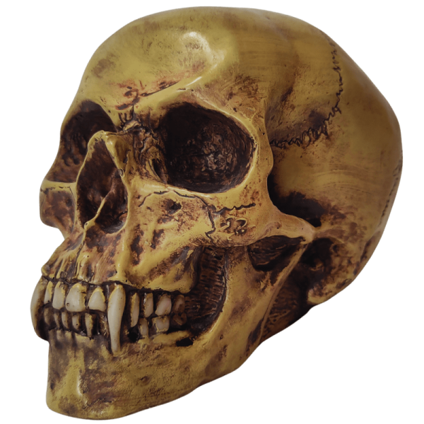 Vampirschädel
